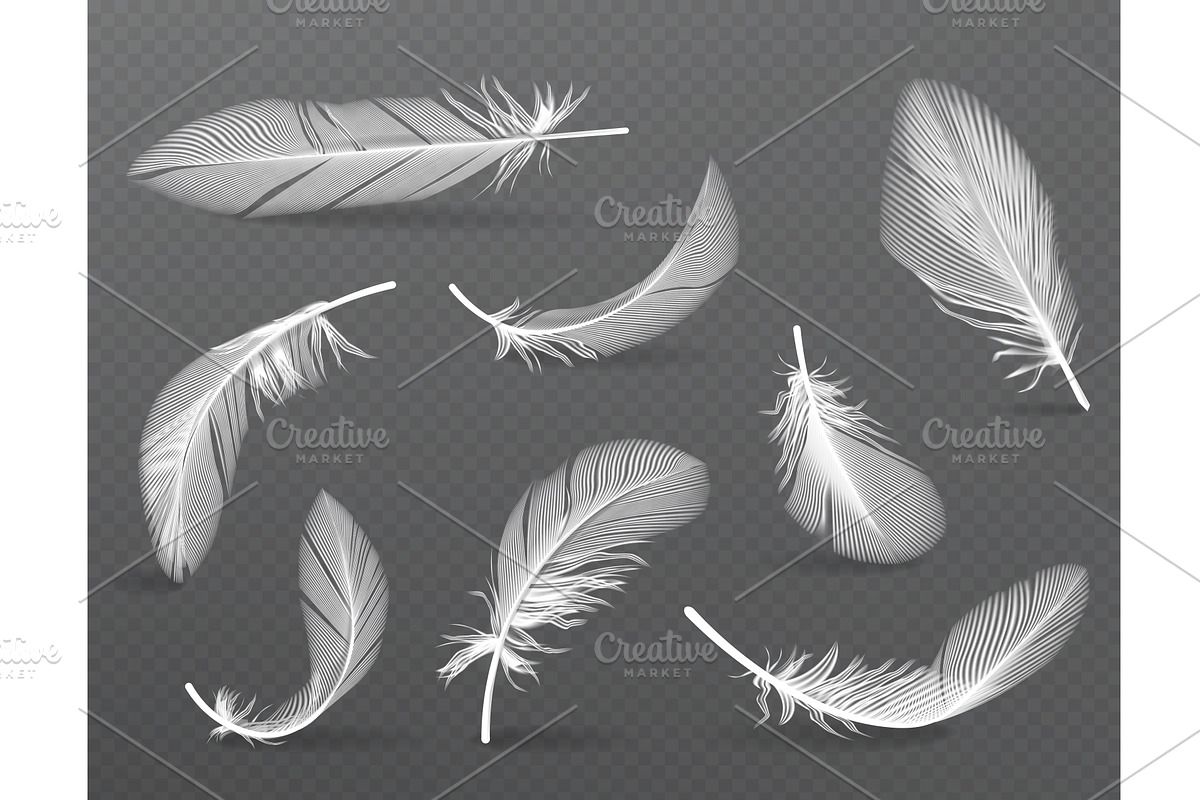 Realistic angel or bird soft feather, an Object Graphic by studioworkstock