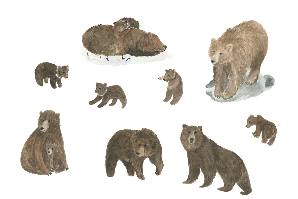 Brown bears - watercolor collection, an Animal Illustration by ramika (Photo 2 of 4)