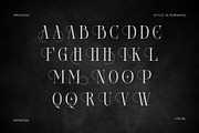 Areogas Vintage - Modern Serif, a Serif Font by Nirmana Visual (Thumbnail 13 of 13)