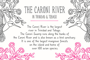 Caroni Font Family - Handmade Font