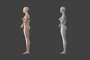 Stylized Female 01 A-Pose Base Mesh, a Characters & Person 3D Model by VK Studio (Thumbnail 8 of 27)