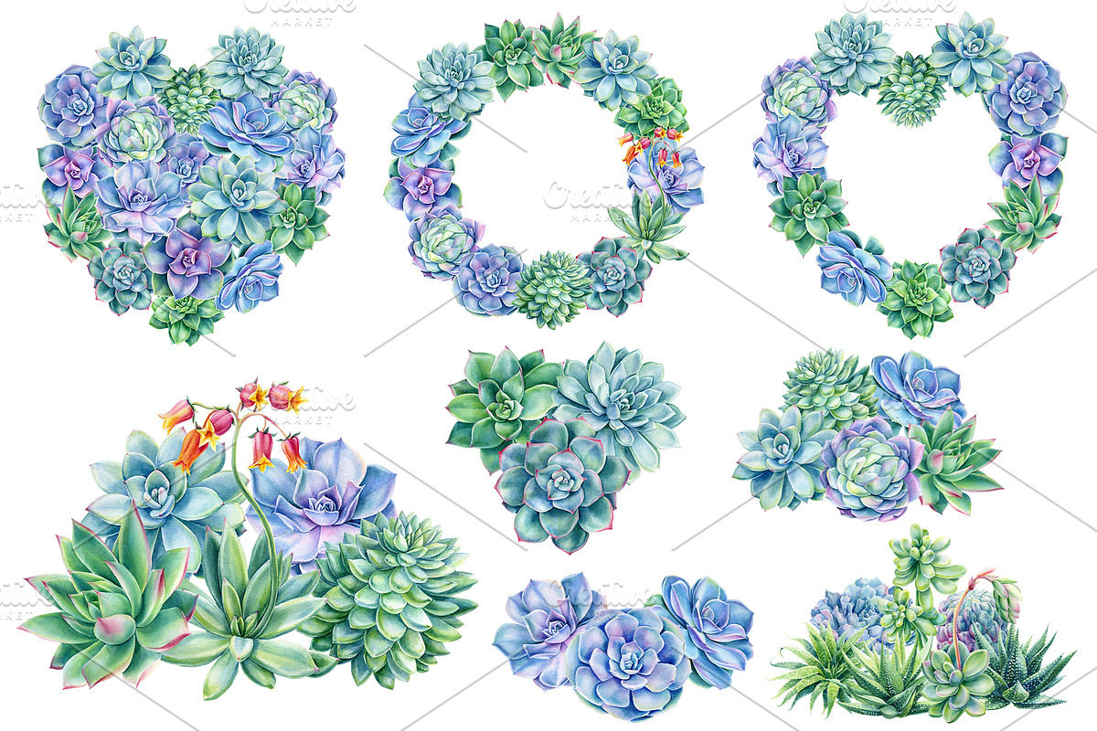 Succulents Botanical Watercolor, a Background Graphic by Hanna Hryharenka (Photo 7 of 15)