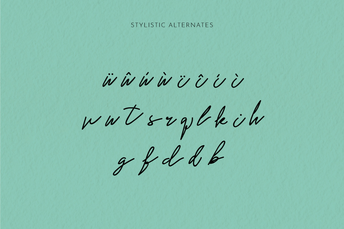 Mr. Skywhale Signature Script Font, a Handwritten Font by ashenterprise (Photo 13 of 16)