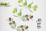 Watercolor olive set, a Food Illustration by maritime_m (Thumbnail 3 of 6)