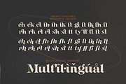 Buche Contemporary Serif, a Serif Font by FactoryType Studio (Thumbnail 10 of 12)