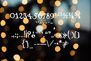 Merlin Lynet font, a Serif Font by TNE Designs (Thumbnail 3 of 6)
