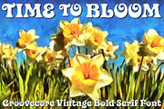 Groovecore Font, a Serif Font by Mysterylab Designs (Thumbnail 8 of 8)