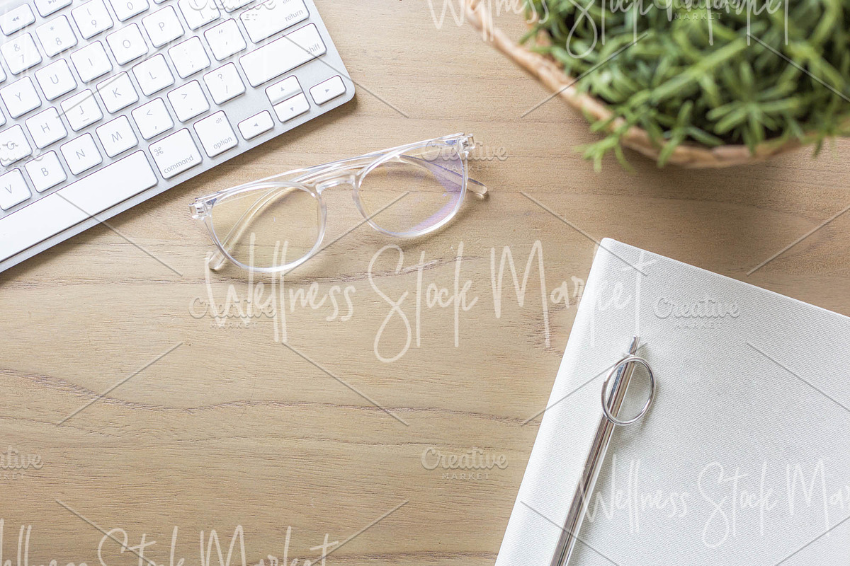 Holistic Lifestyle Bundle (Green), a Health & Medical Photo by Wellness Stock Market (Photo 22 of 37)
