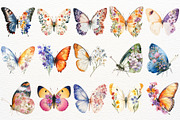 Floral Butterfly Clipart Summer PNG, an Animal Illustration by SugarCloudStudioArt (Thumbnail 2 of 8)