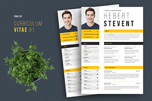 Resume CV Template 64