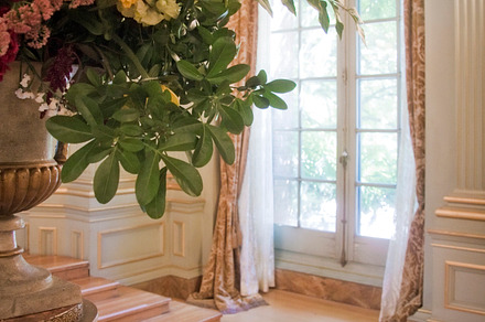 Estate Window 1 (Photo)