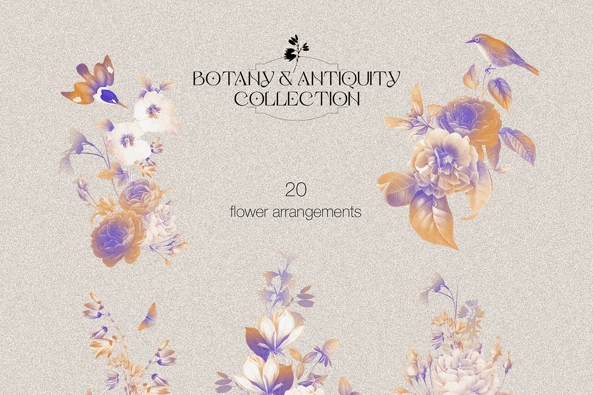 Botany & Antiquity Collection, an Object Graphic by Natali Batu (Photo 6 of 20)