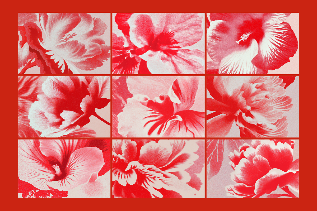 Retro Bloom Grain Textures, a Texture Graphic by Ann Creative (Photo 4 of 9)