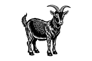 Alpine goat, an Illustration by Mark1987