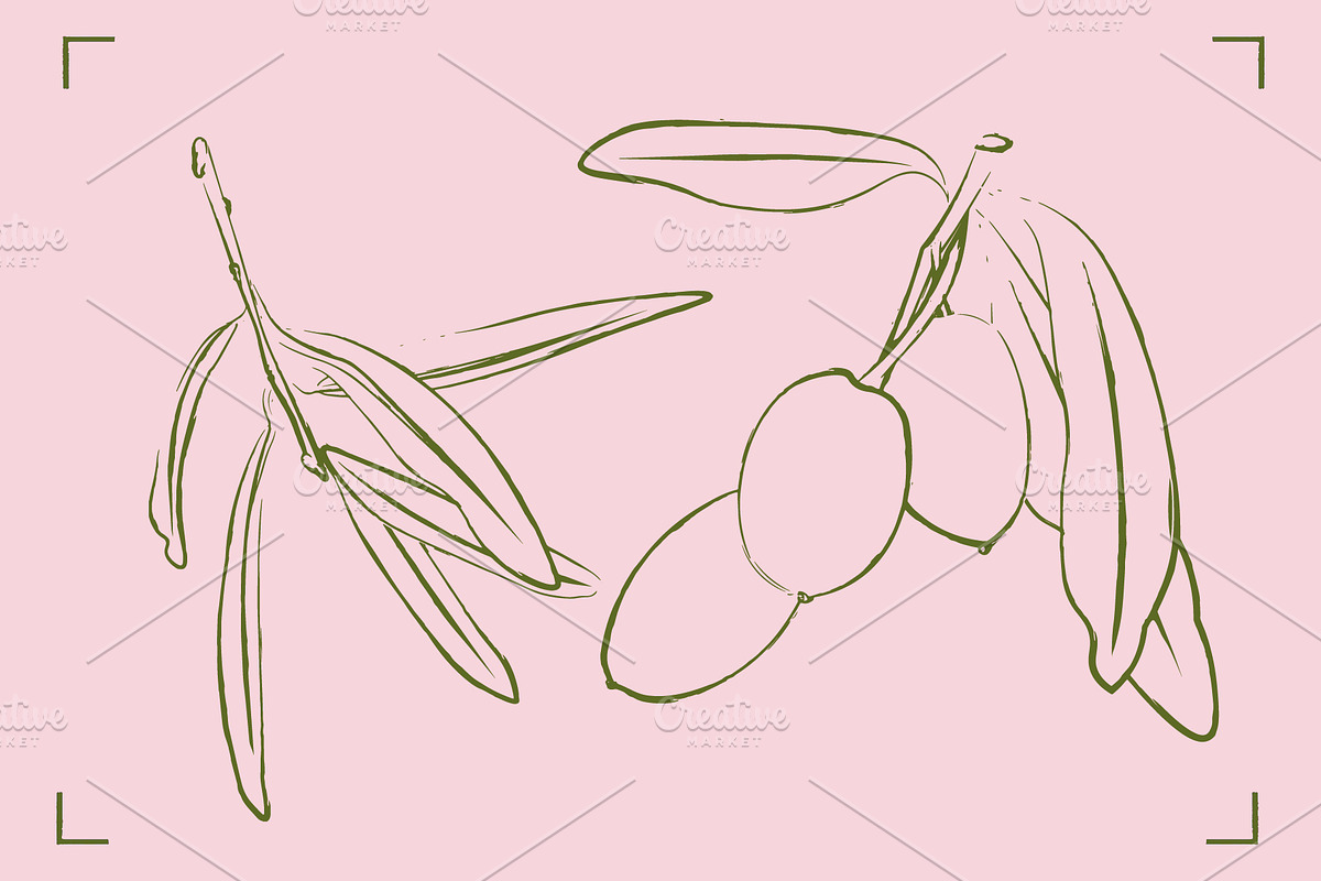 OLIVE LINE ART SET (10 elements), a Food Illustration by Bonfloret Studio