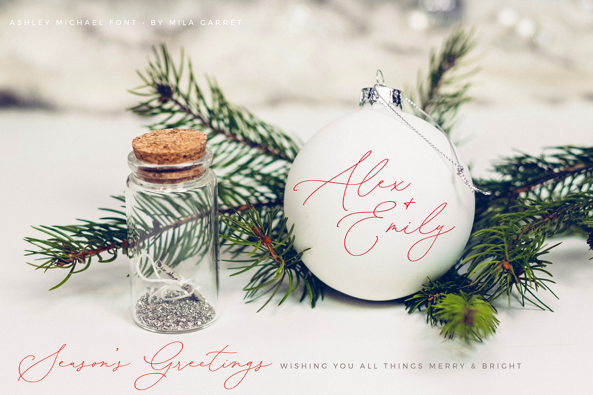 Ashley Michael Heart Wedding Script, a Script Font by Mila Garret (Photo 16 of 20)