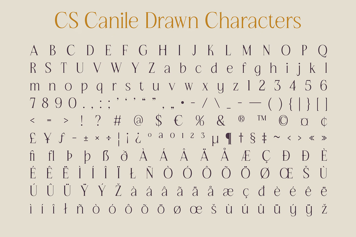 CS Canile Drawn, a Serif Font by Craft Supply Co. (Photo 7 of 8)