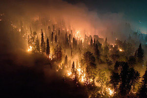 Nighttime forest fire aerial view bu, a Photo by Pixeness Studio