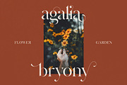 Hermione Classic-Modern Typeface, a Serif Font by NendesKombet Studio (Thumbnail 5 of 11)