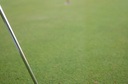 Golf Ball on Green with Putter