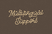 Big Tales - Monoline Script Typeface, a Font by Typefactoryco (Thumbnail 6 of 9)
