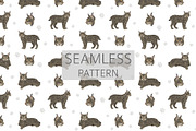 European wild cats clipart, an Animal Illustration by pet design shop (Thumbnail 7 of 10)