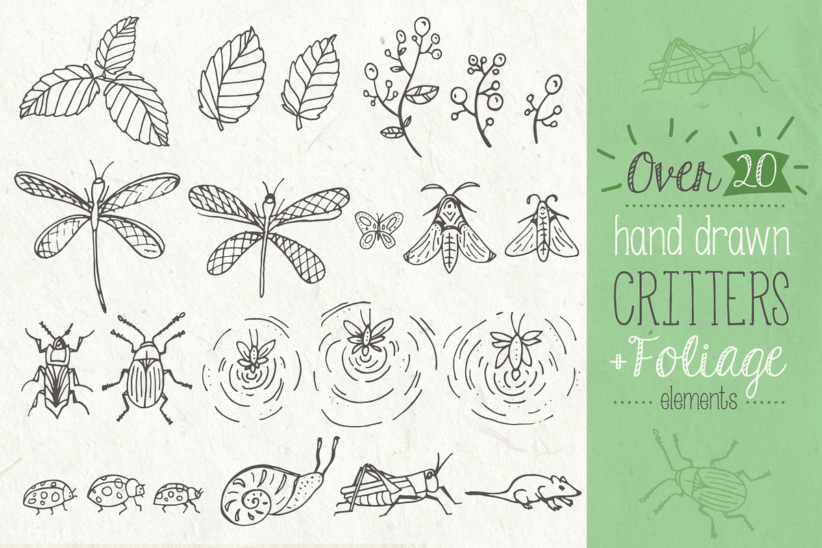 Night Creatures - Owl Clipart Vector, an Object Graphic by The Pen and Brush (Photo 4 of 7)