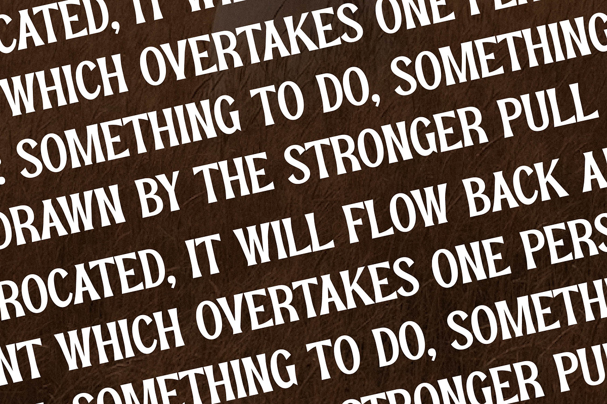 Pearl Hirenha Modern Serif, a Serif Font by Storytype Studio (Photo 10 of 15)