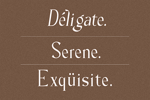 Milane - Classic Serif Font