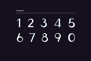 Ludeco Uppercase Modern Display Font, a Sans Serif Font by Wild Ones (Thumbnail 5 of 8)