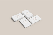 Business Card Mockup Bundles, a Business Card Template by Graphic Aesthetic (Thumbnail 21 of 22)