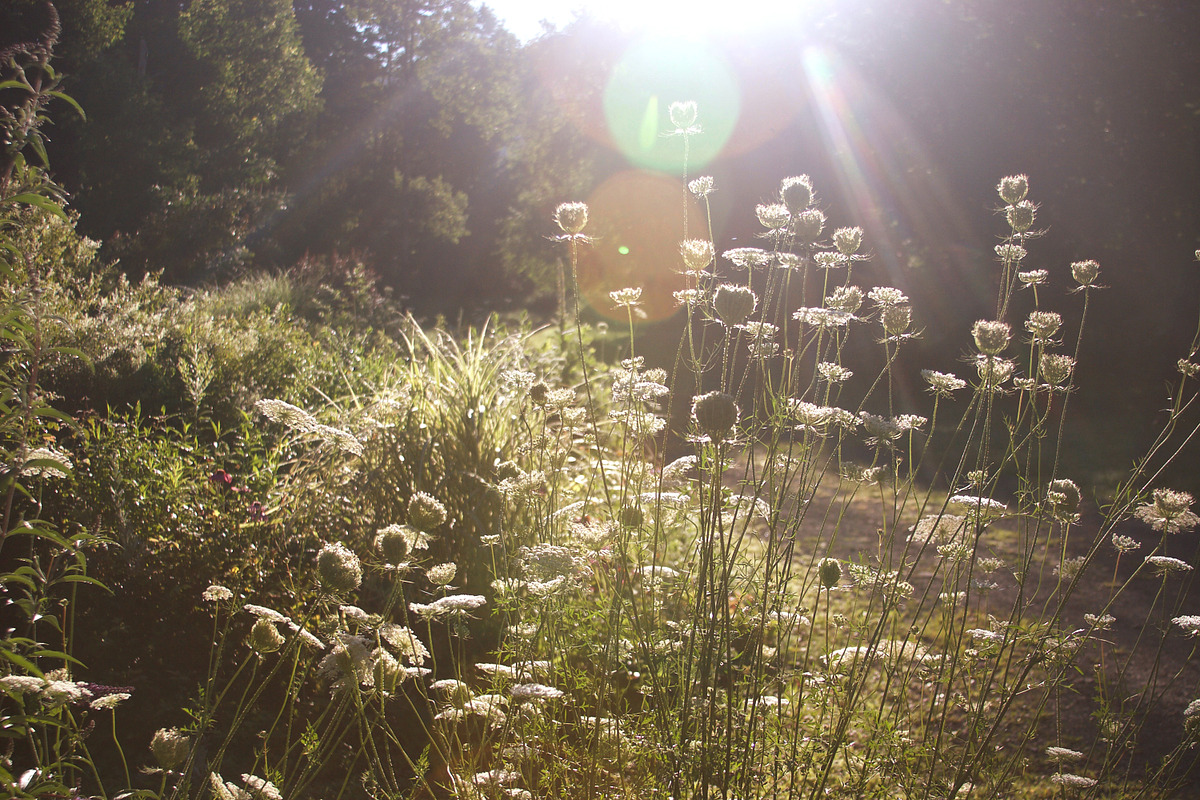 Summer Garden Collection, a Photo by Paper City Design (Photo 9 of 21)