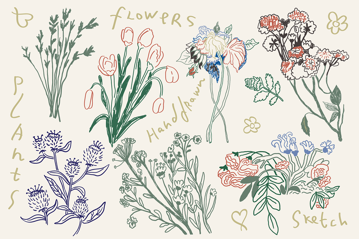 Sketch Flowers Set, an Illustration by iceang shop (Photo 6 of 6)