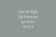 Deidra Serif Font Family Pack, a Serif Font by Creativetacos (Thumbnail 3 of 6)