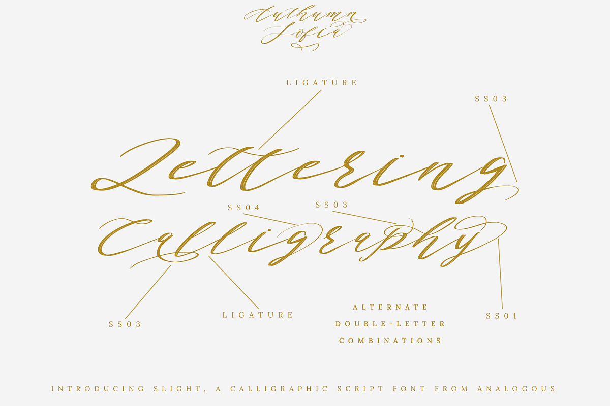 Authumn Sofia | Calligraphy Font, a Script Font by Analogous (Photo 9 of 16)