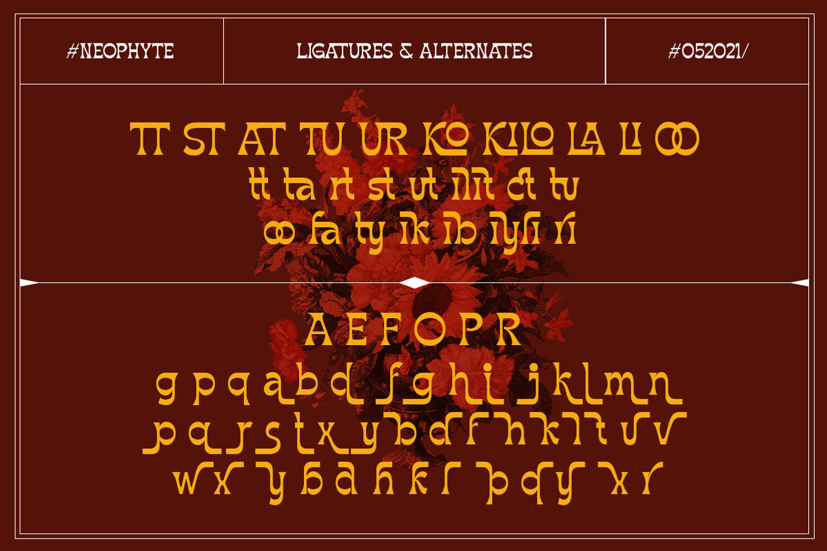 Neophyte Typeface, a Font by Letterhend Studio (Photo 8 of 9)
