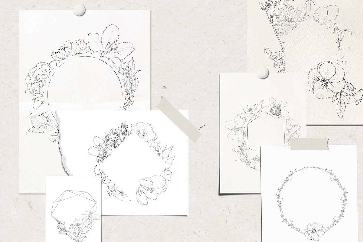 Pencil-drawn flowers, a Decorative Illustration by Damian Roh (Photo 12 of 21)