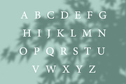 Verde Elegant Modern Font, a Sans Serif Font by PixelHive Pro (Thumbnail 2 of 14)