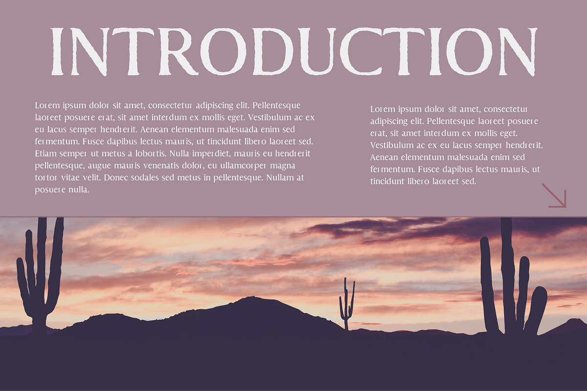 Arthur Rust - A Western Serif Font, a Serif Font by Creativetacos (Photo 5 of 7)