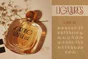 Strova, a Sans Serif Font by Burntilldead (Thumbnail 6 of 12)