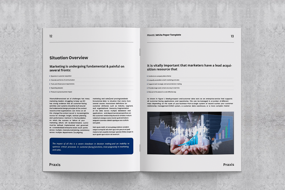 White Paper Template, a Brochure Template by azadcsstune (Photo 5 of 15)
