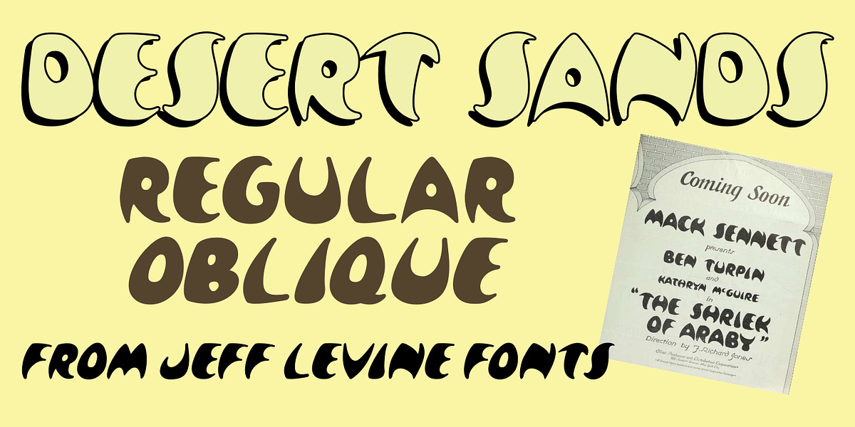 Desert Sands JNL, a Sans Serif Font by Jeff Levine Fonts (Photo 1 of 5)