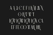 ELOVIA - Modern Ligature Typface, a Serif Font by AnnofaType (Thumbnail 7 of 8)