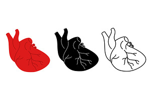 Human heart icons. Cardiology or, a Healthcare Illustration by Vectorbuum