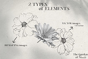 Pencil-drawn flowers, a Decorative Illustration by Damian Roh (Thumbnail 6 of 21)
