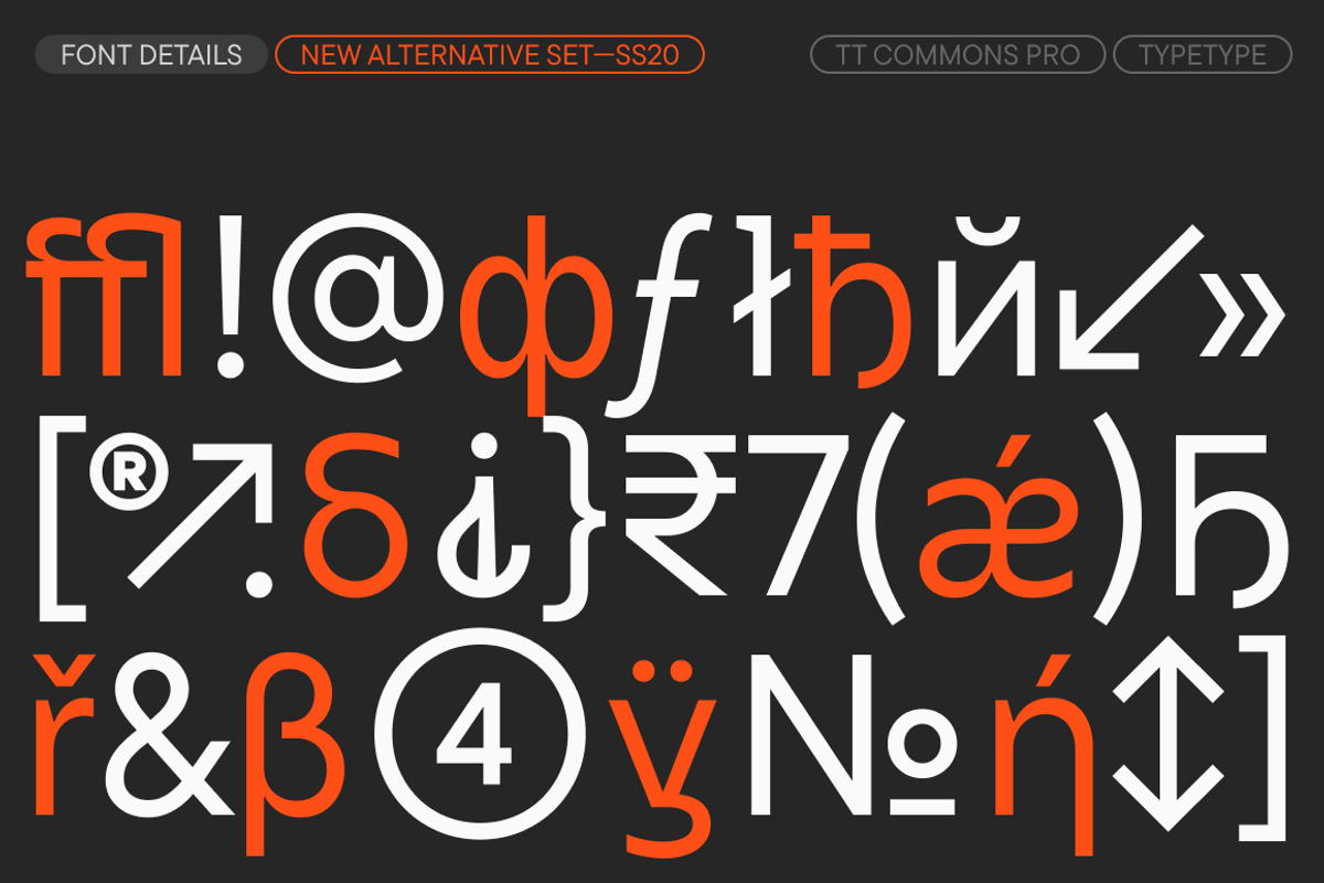TT Commons Pro Basic, a Sans Serif Font by TypeType (Photo 15 of 15)