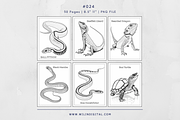 30 Reptiles Animals Coloring Pages, an Illustration by Wilin Digital (Thumbnail 2 of 3)