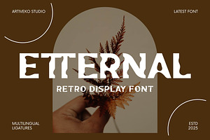 Etternal Display Retro Font, a Sans Serif Font by Artiveko
