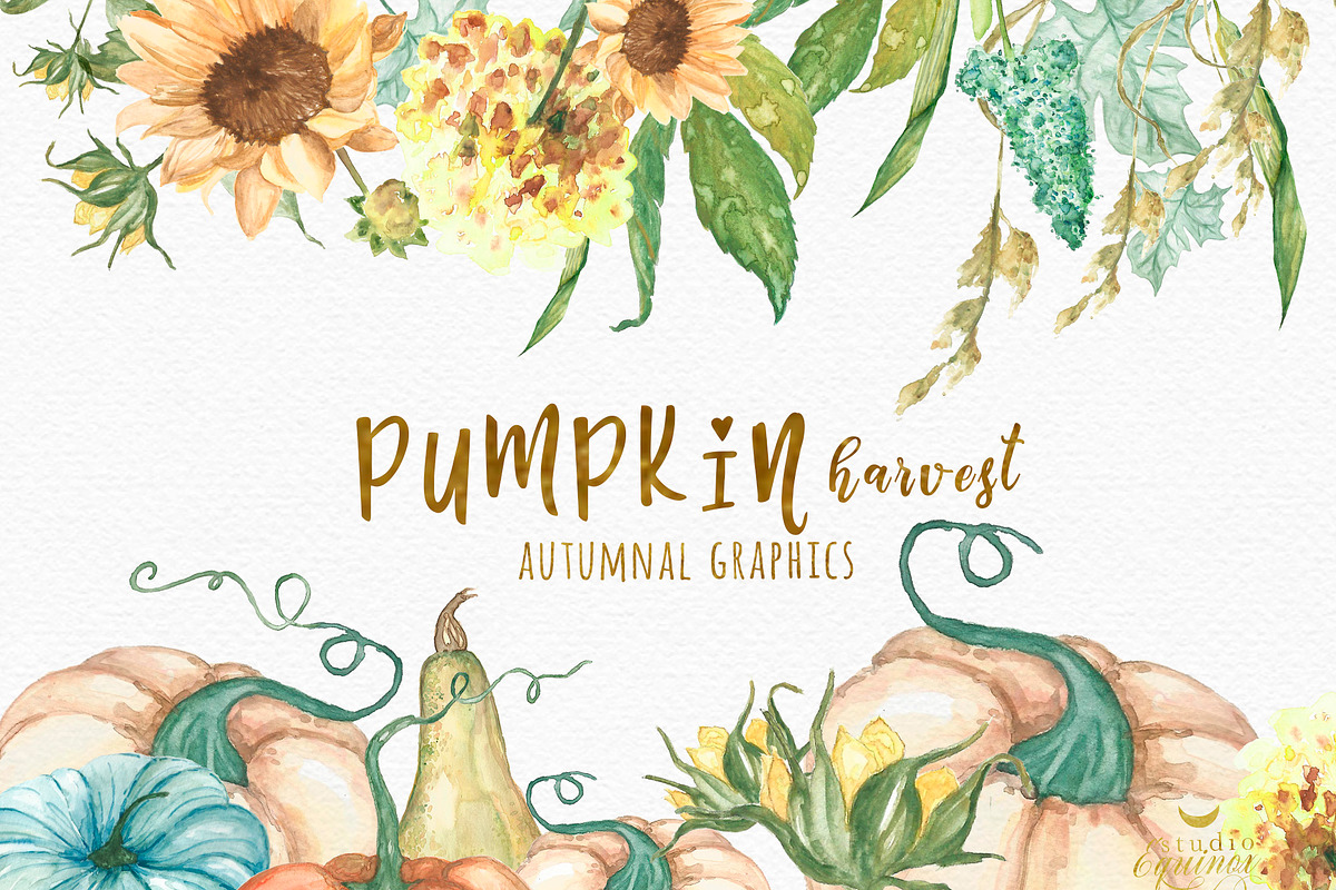 Pumpkin Harvest - Autumnal Graphics, an Object Graphic by studioequinox (Photo 1 of 5)