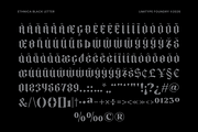 Ethnica - Blackletter Font, a Blackletter Font by limitype (Thumbnail 9 of 10)